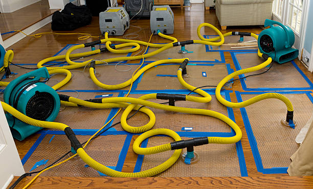 Professional Crawl Space Water Removal technician working in Petaluma, CA